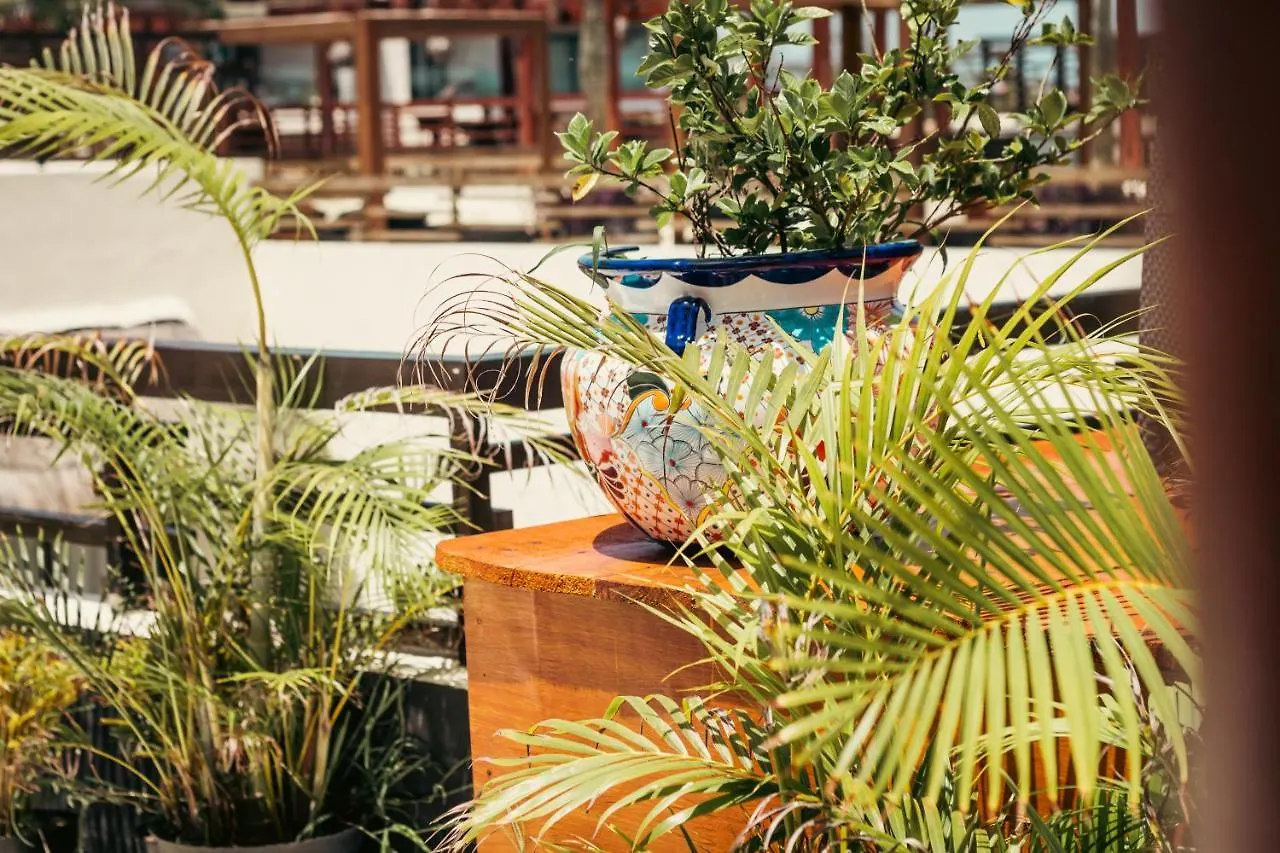 Aldea Thai Beachfront Condos Playa del Carmen Mexico