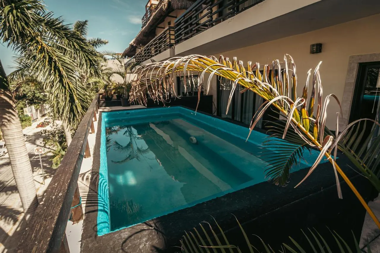 Aldea Thai Beachfront Condos Playa del Carmen Apartment